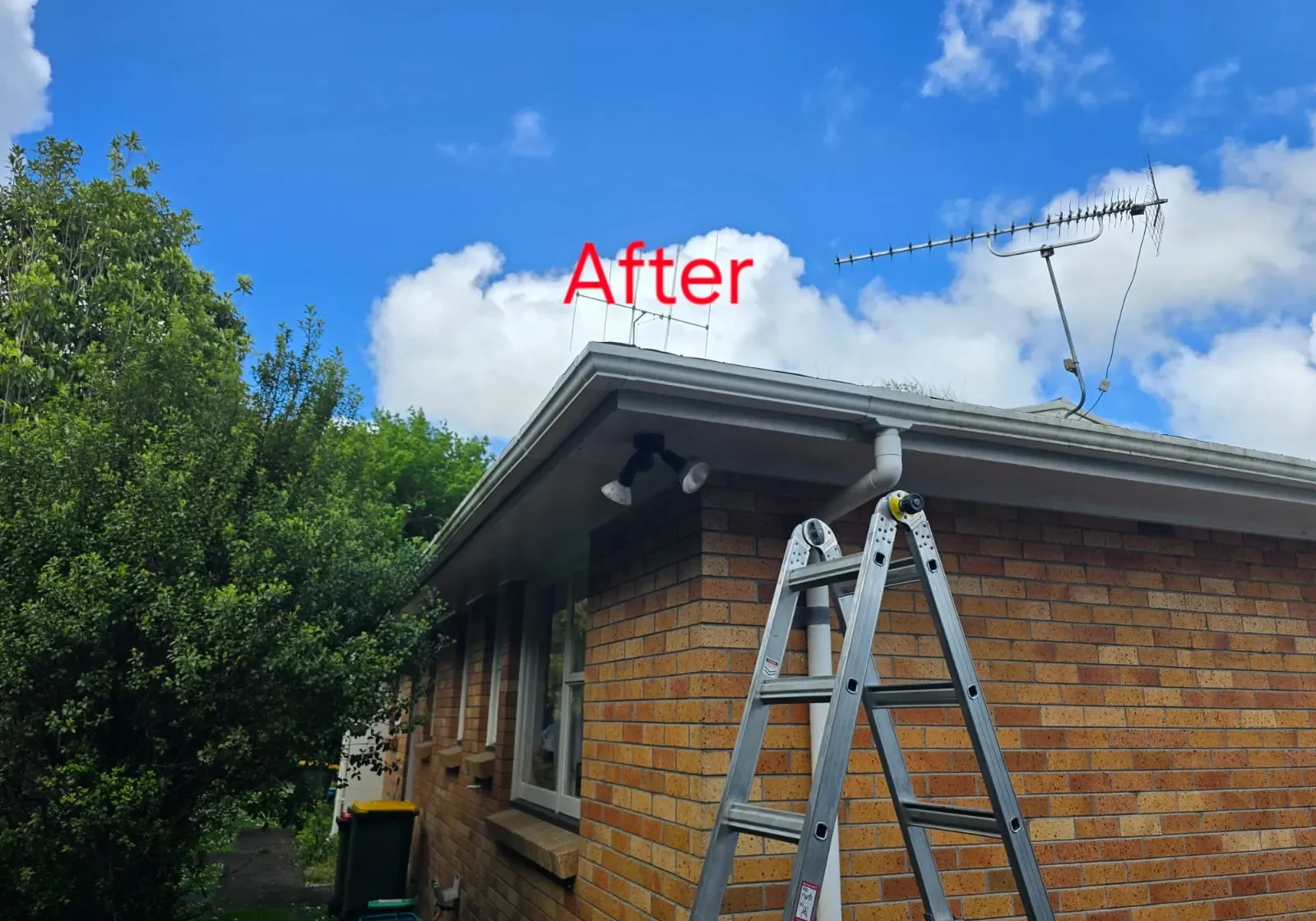 gutter replacement north shore